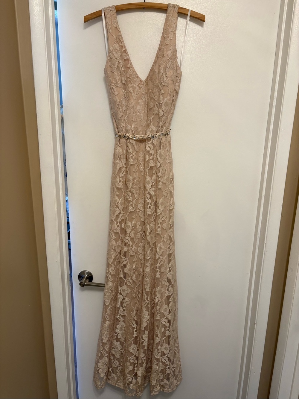 B. Smart Blush Lace V-Neck Maxi Dress